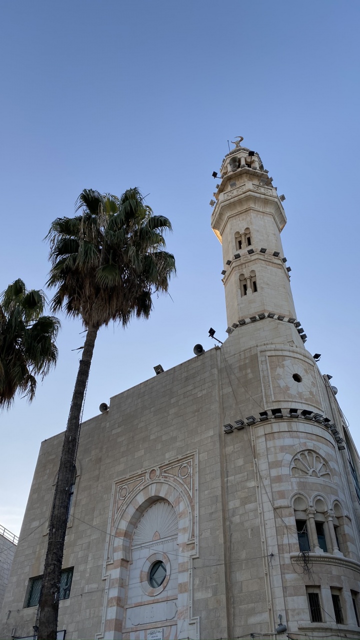 Обои Иерусалим, пальмовые рощи, древняя история, историческое место, архитектура в разрешении 720x1280