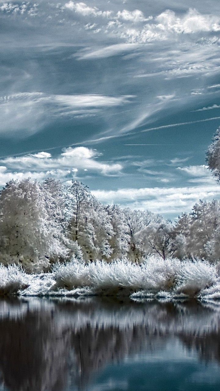 Обои Тернер Филд, природа, вода, отражение, облако в разрешении 720x1280