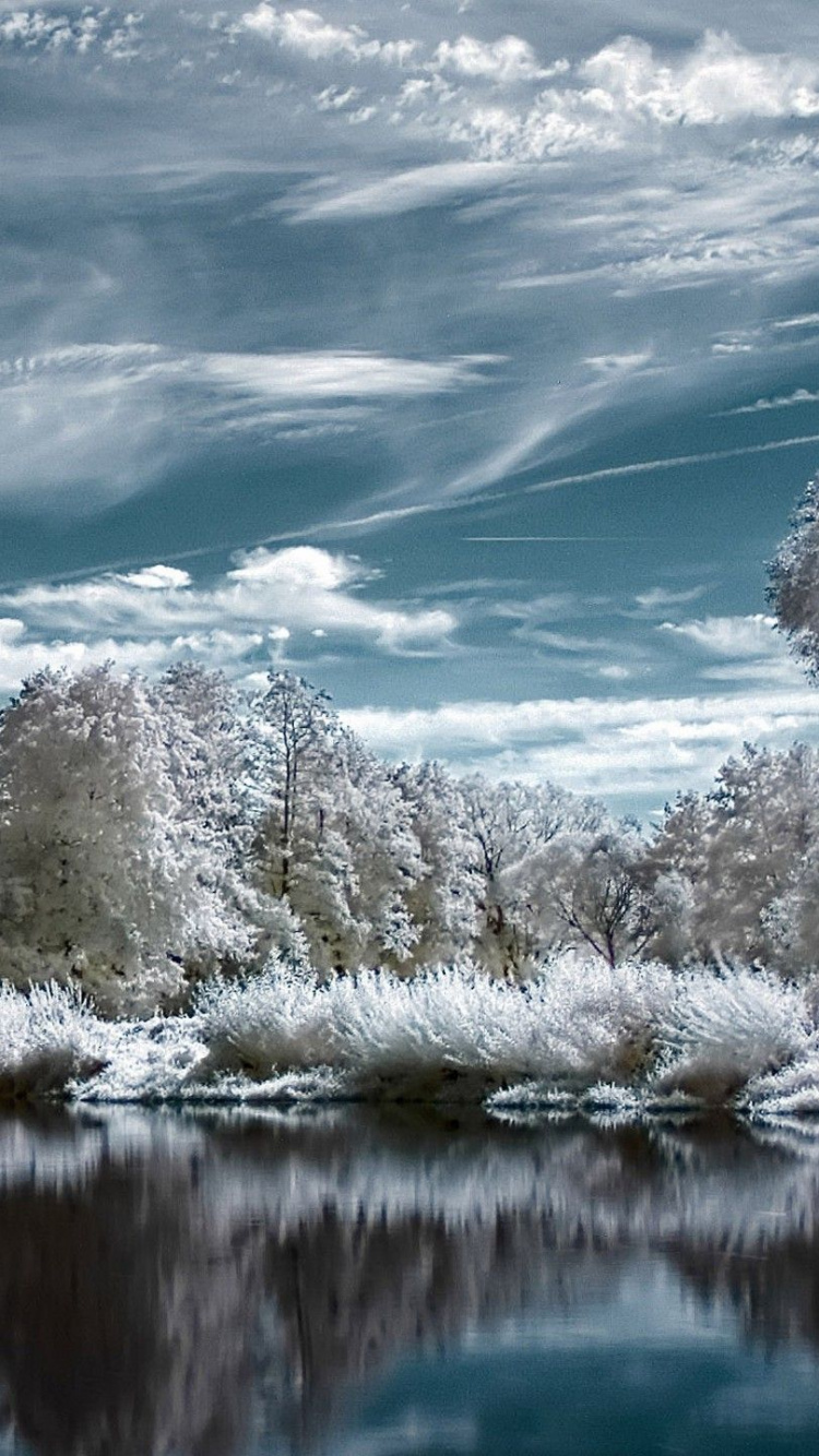 Обои Тернер Филд, природа, вода, отражение, облако в разрешении 750x1334