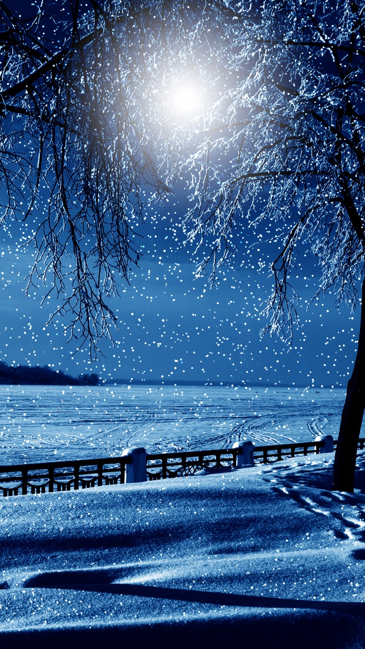 Обои зима, снег, природа, вода, дерево в разрешении 720x1280