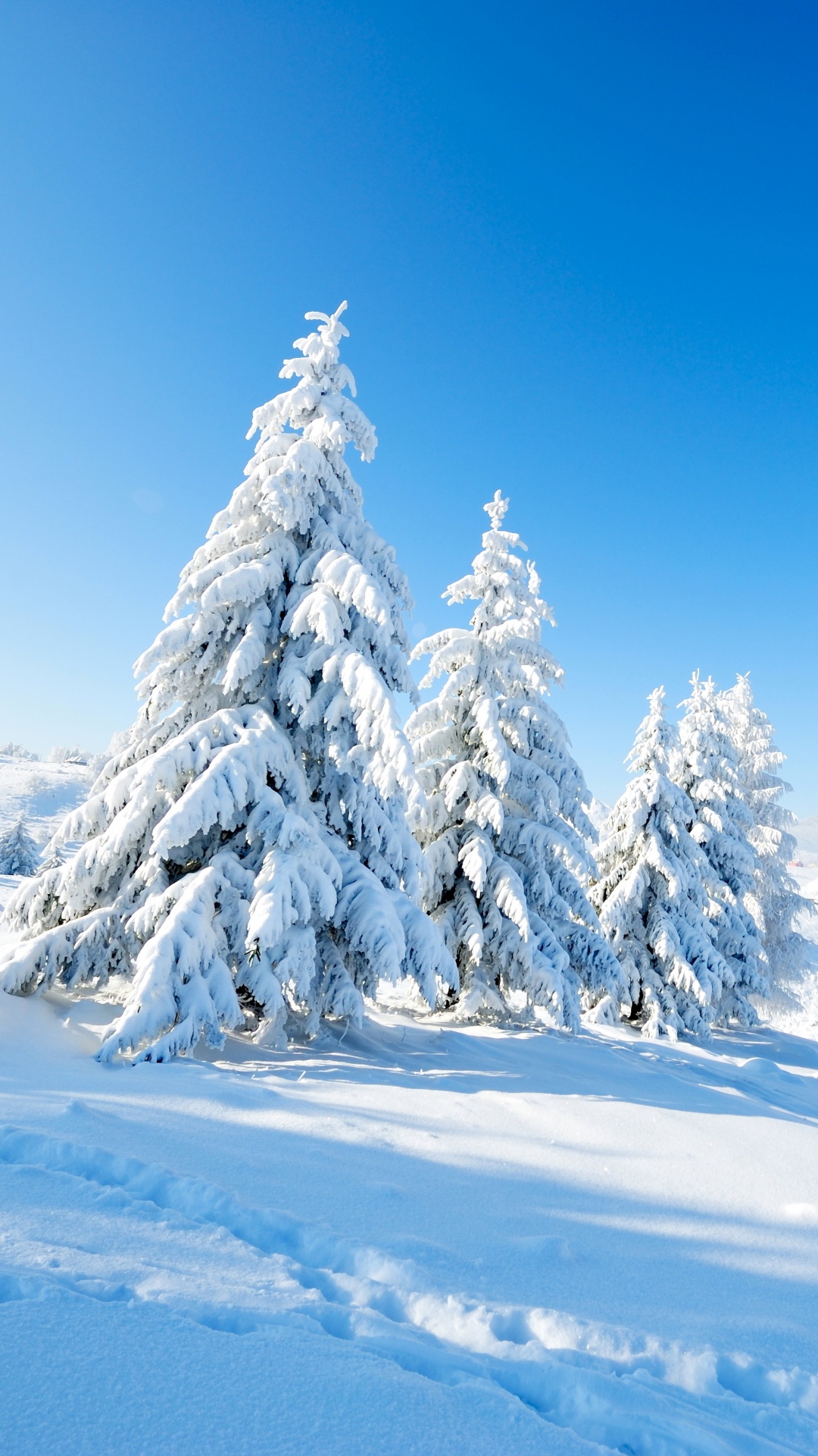 Обои снег, зима, природа, дерево, горный рельеф в разрешении 1080x1920