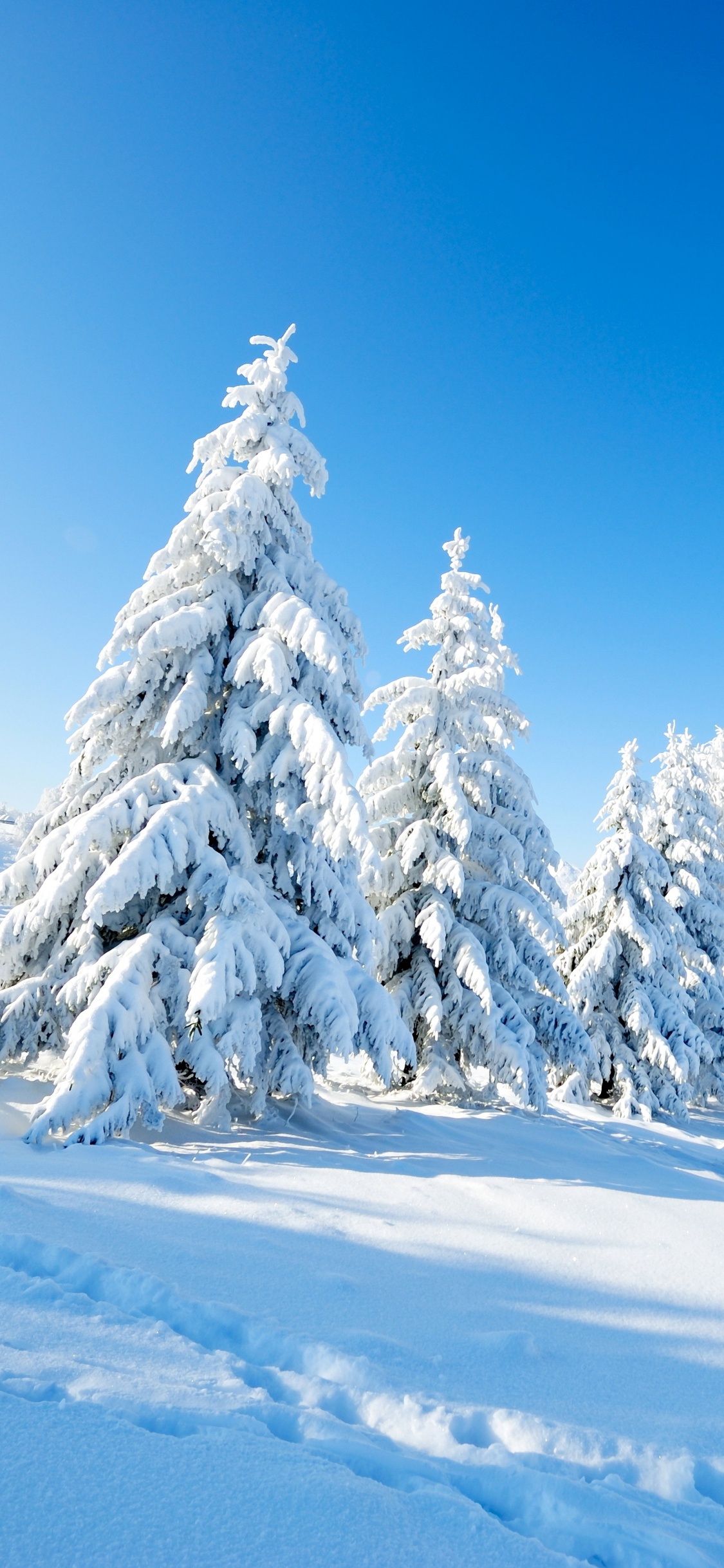 Обои снег, зима, природа, дерево, горный рельеф в разрешении 1125x2436