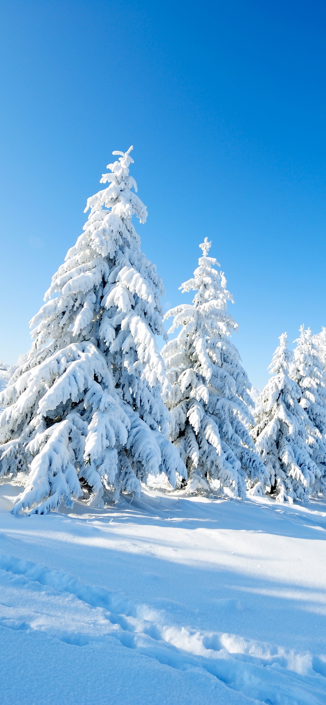 Обои снег, зима, природа, дерево, горный рельеф в разрешении 1242x2688