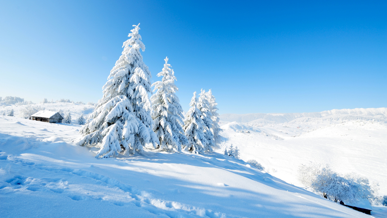Обои снег, зима, природа, дерево, горный рельеф в разрешении 1280x720