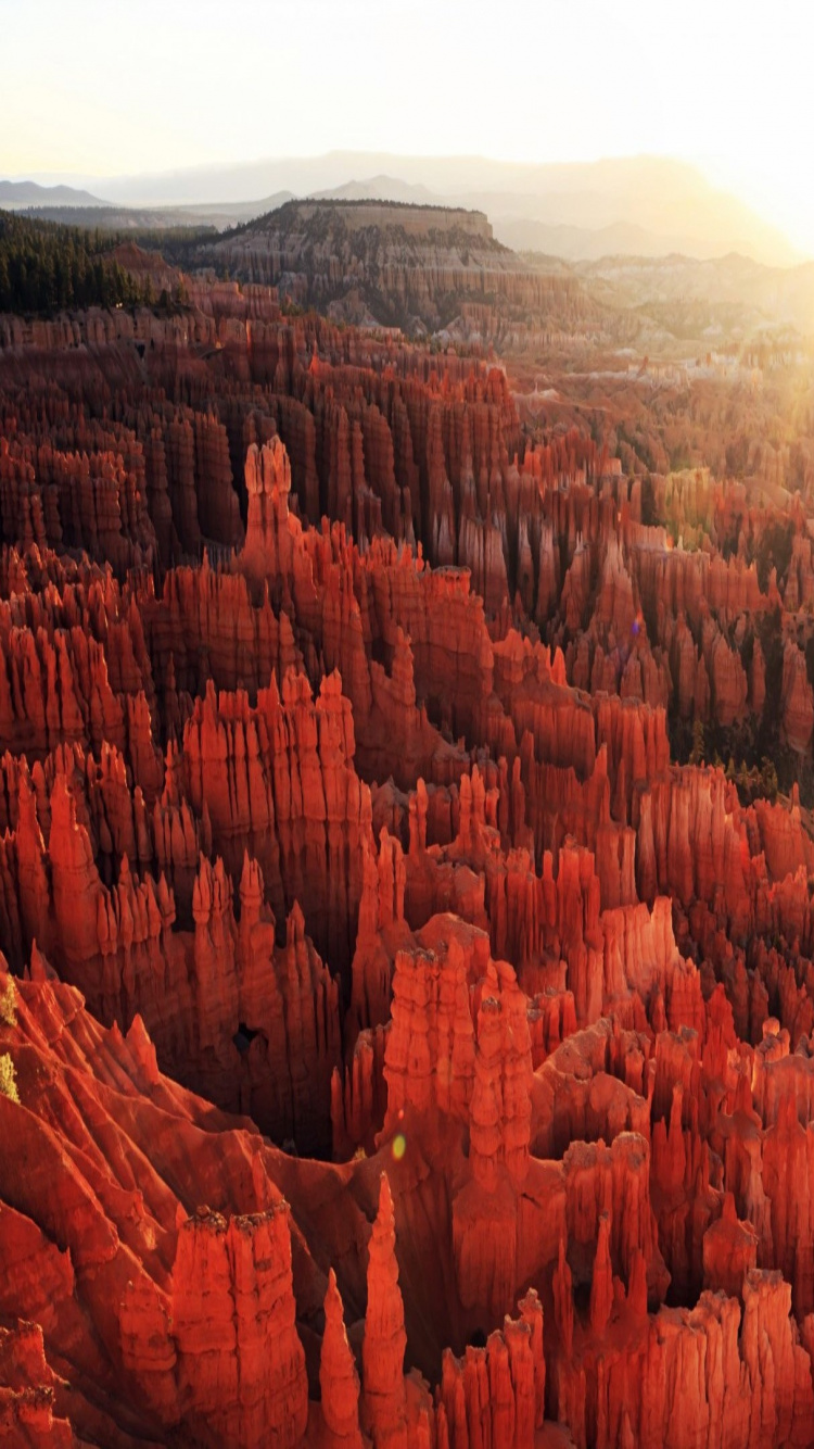 Обои Корпорация Microsoft, панорама, windows 10, microsoft windows, природа в разрешении 750x1334