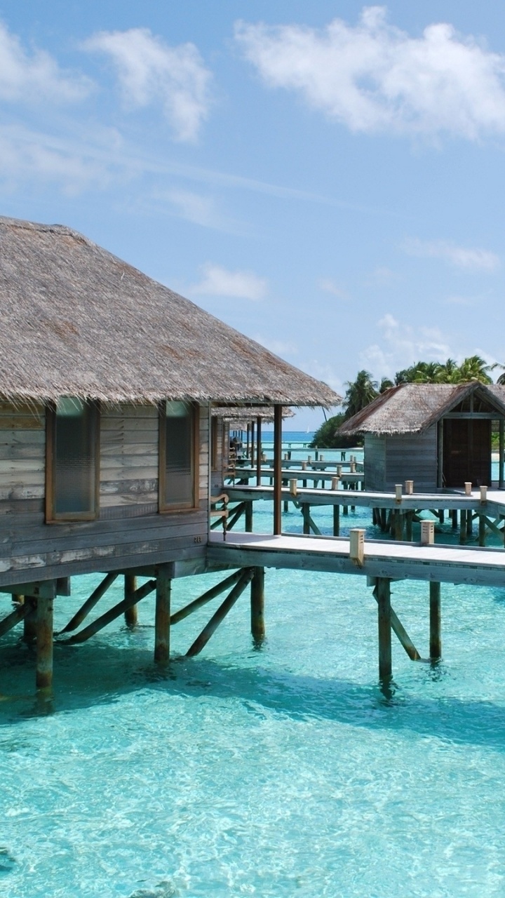 Обои прибежище, отпуск, плавательный бассейн, пляж, путешествие в разрешении 720x1280