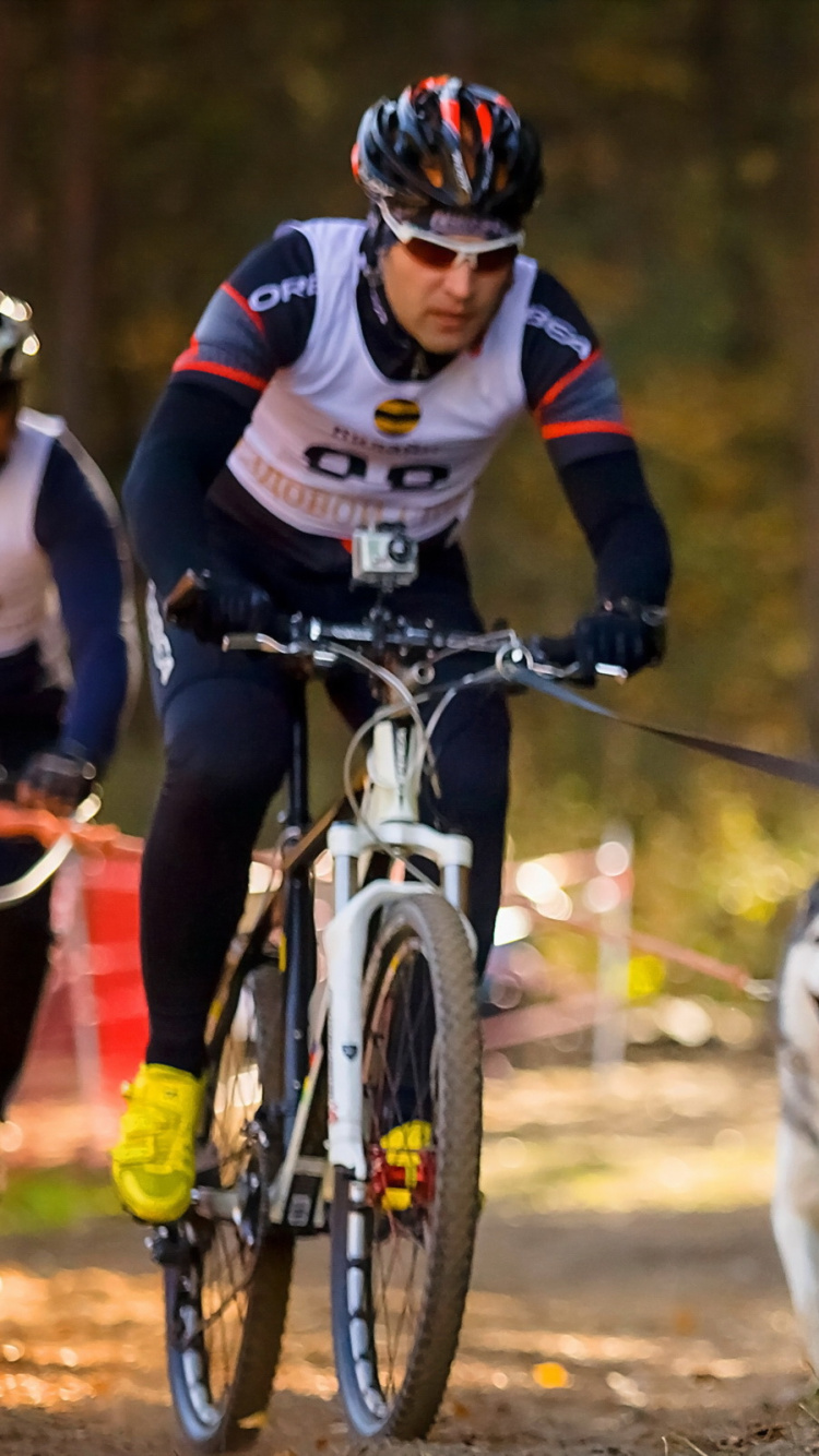 Обои дорожный велосипед гонки, велосипед, велосипедный спорт, занятие спортом, пес в разрешении 750x1334