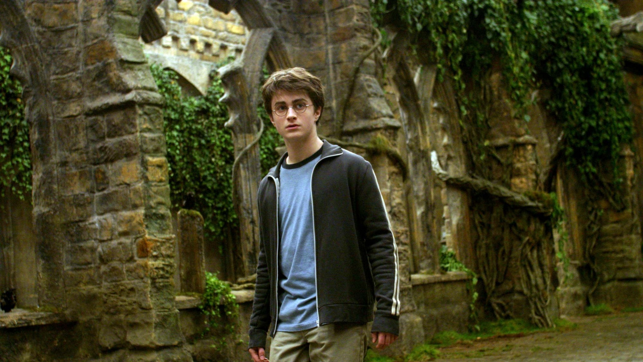 Обои Дэниел Редклифф, Гарри Поттер, Рон Уизли, Гермиона грейнджер, дерево в разрешении 1280x720