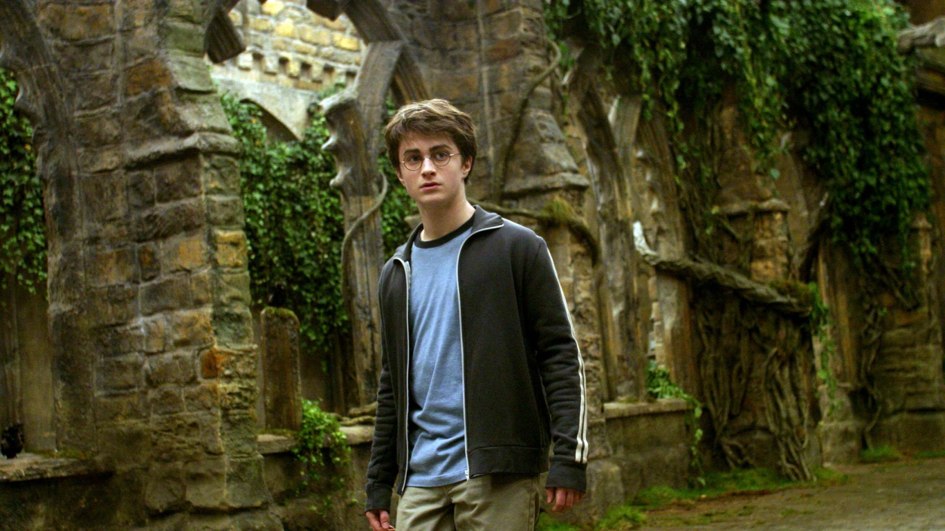 Обои Дэниел Редклифф, Гарри Поттер, Рон Уизли, Гермиона грейнджер, дерево в разрешении 1366x768
