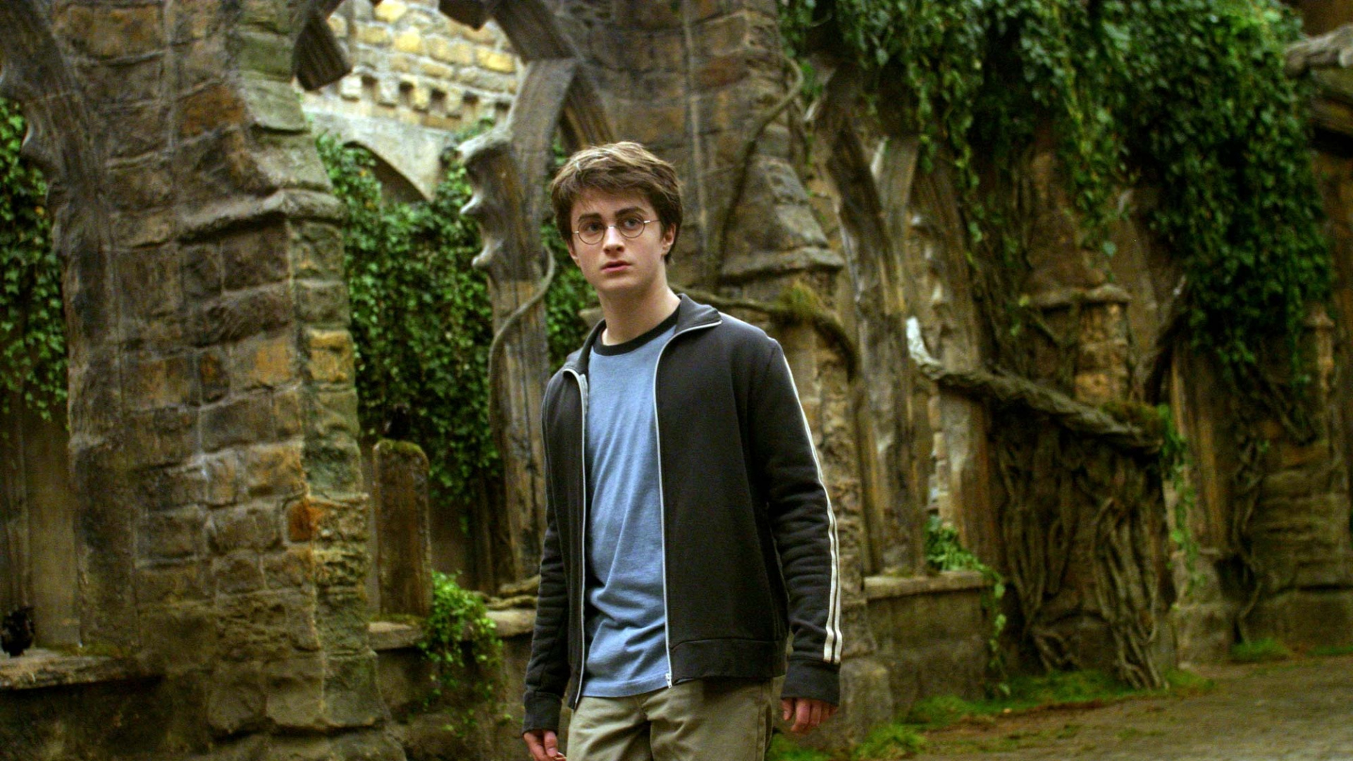 Обои Дэниел Редклифф, Гарри Поттер, Рон Уизли, Гермиона грейнджер, дерево в разрешении 1920x1080
