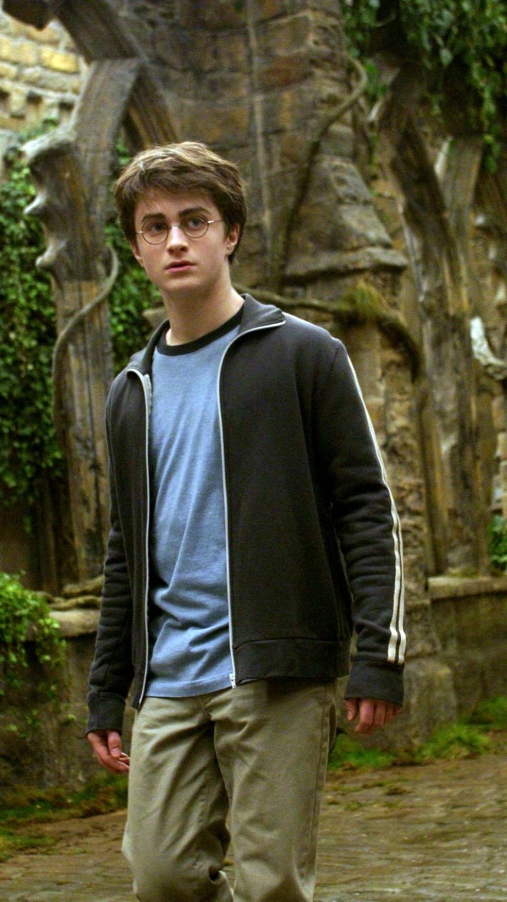 Обои Дэниел Редклифф, Гарри Поттер, Рон Уизли, Гермиона грейнджер, дерево в разрешении 720x1280
