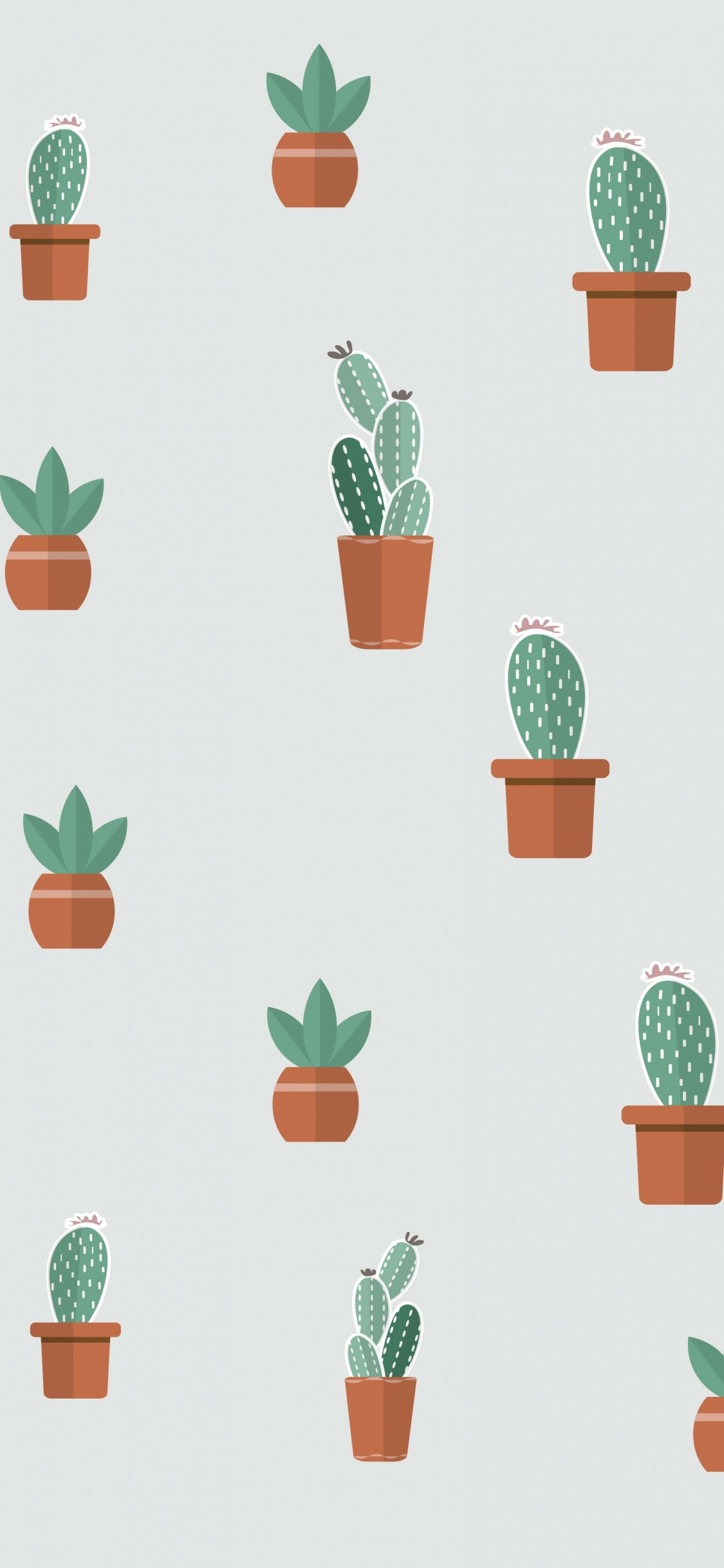 Обои суккулент, цветковое растение, растение, цветочный горшок, зеленый в разрешении 1125x2436