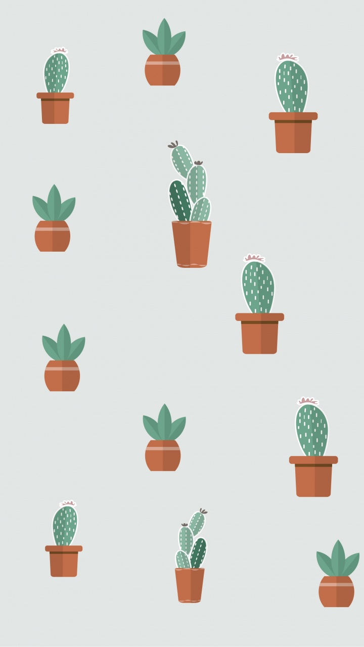 Обои суккулент, цветковое растение, растение, цветочный горшок, зеленый в разрешении 720x1280