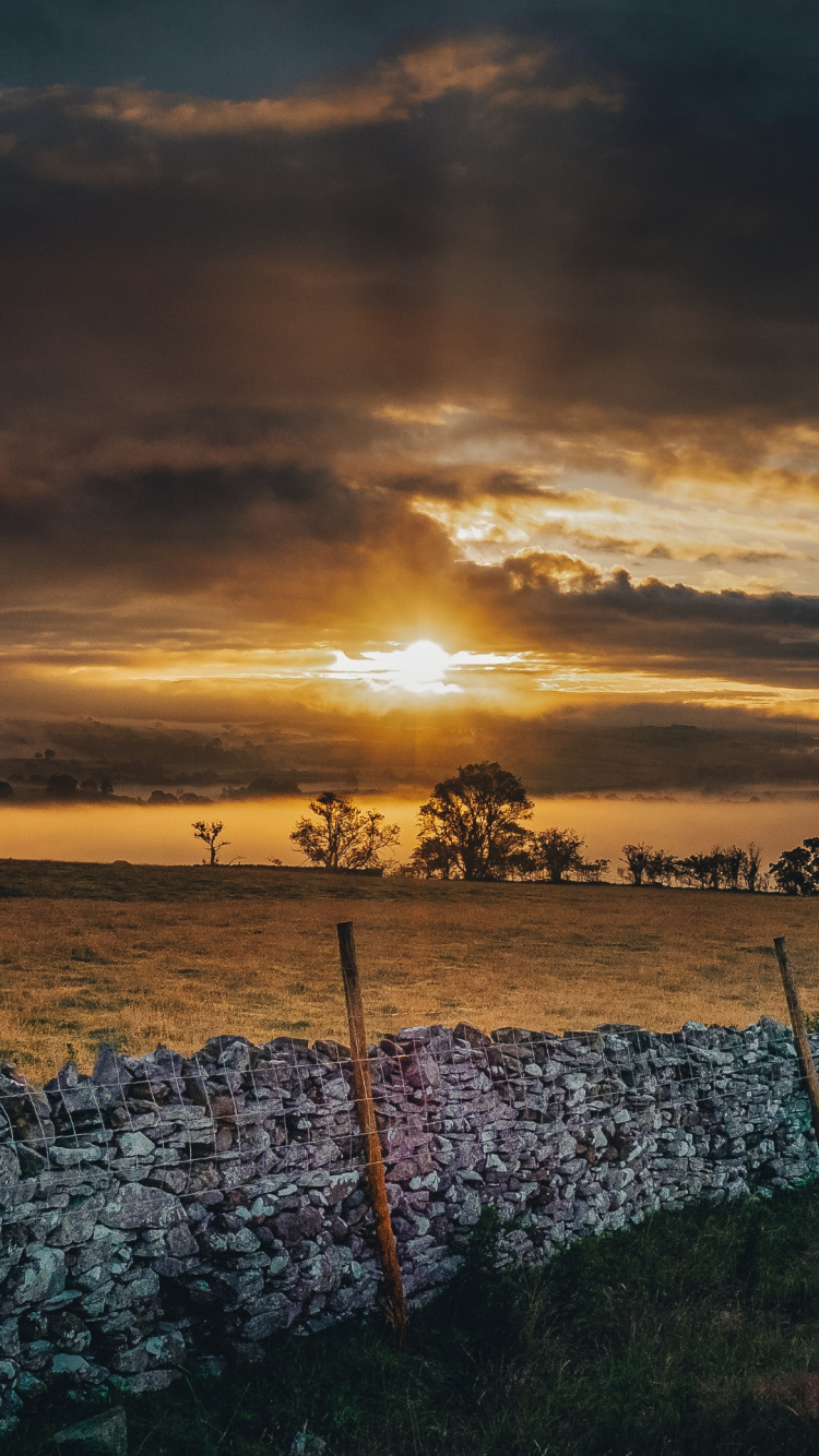 Обои облако, солнечный свет, атмосфера, растение, послесвечение в разрешении 750x1334
