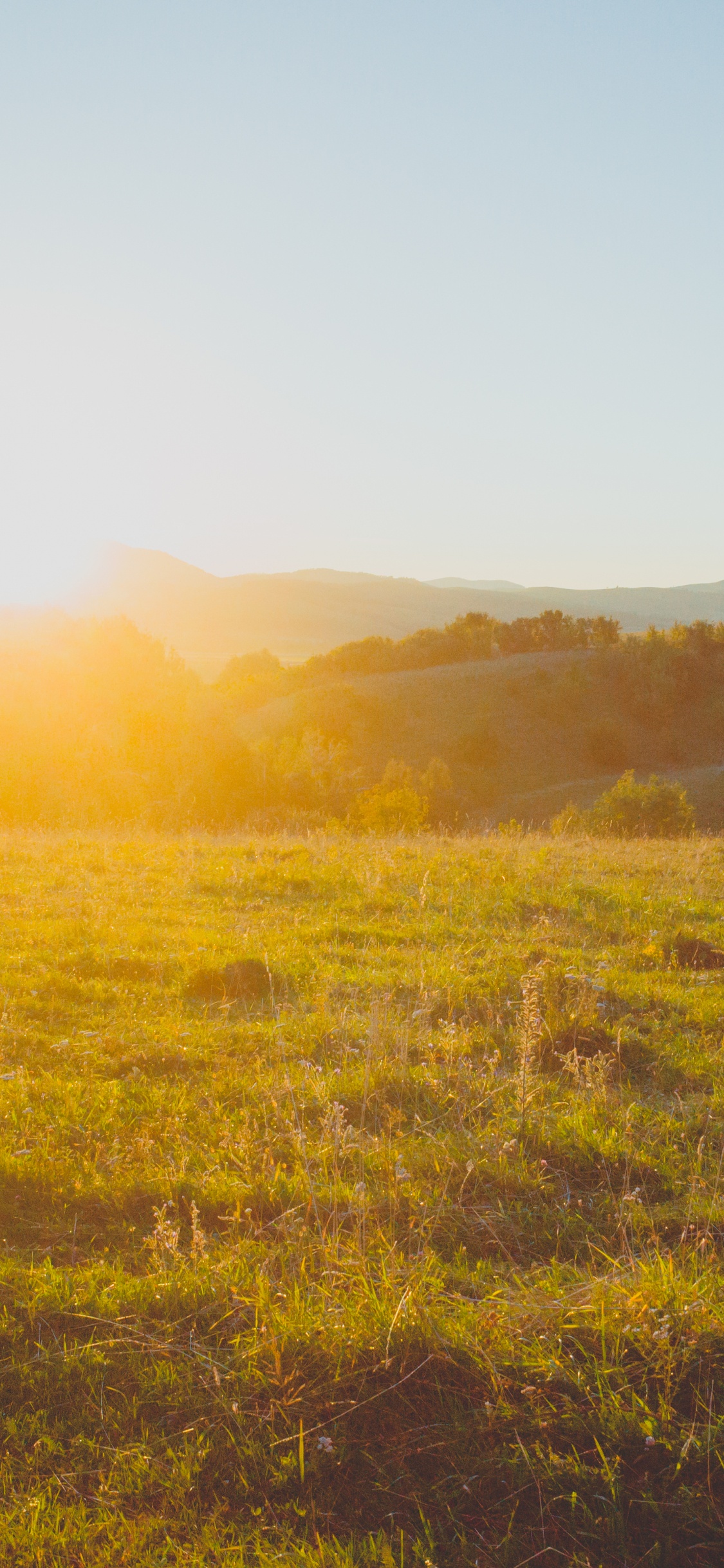 Обои природа, сенокосное угодье, окружающая среда, утро, солнечный свет в разрешении 1125x2436