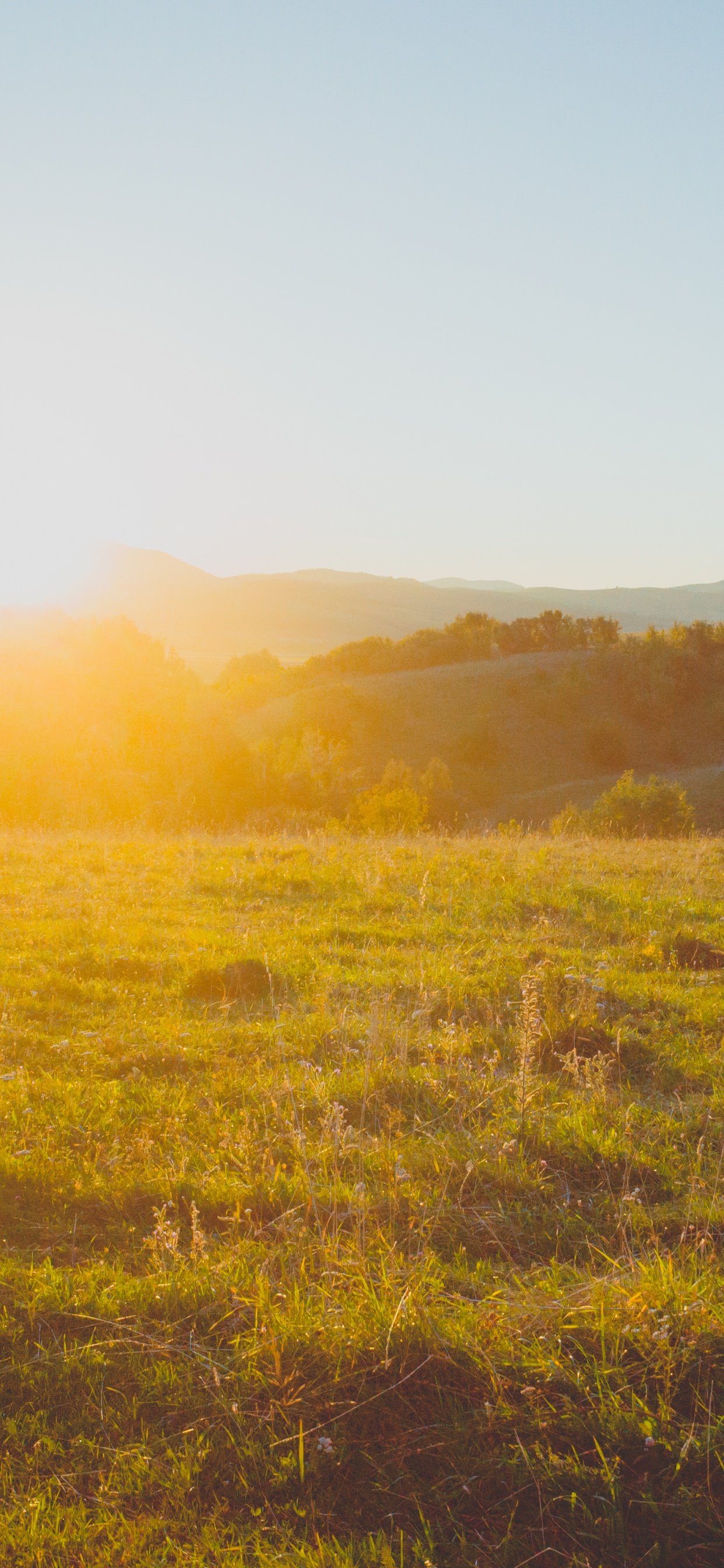Обои природа, сенокосное угодье, окружающая среда, утро, солнечный свет в разрешении 1242x2688