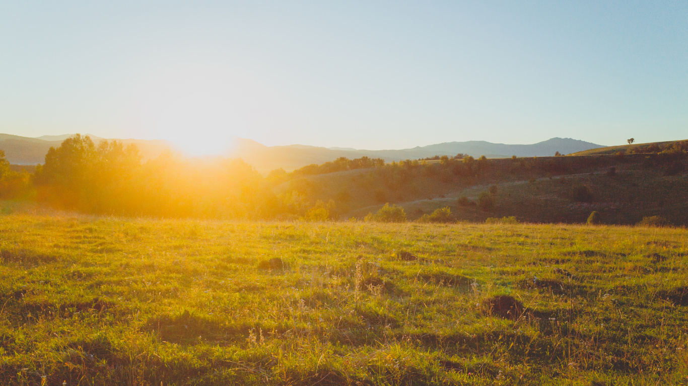 Обои природа, сенокосное угодье, окружающая среда, утро, солнечный свет в разрешении 1366x768