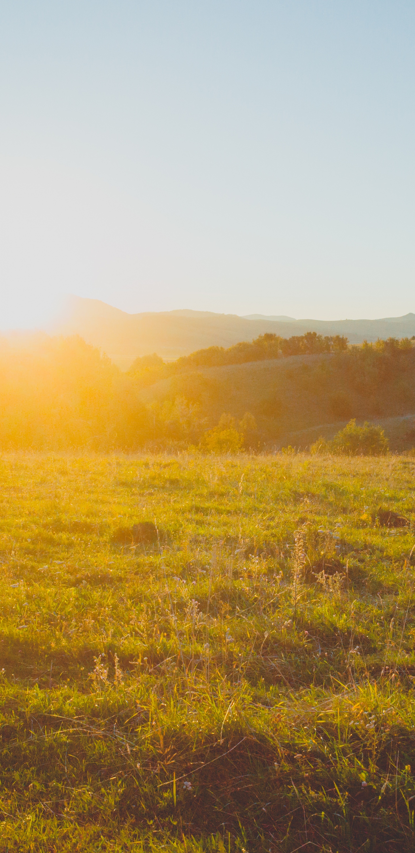 Обои природа, сенокосное угодье, окружающая среда, утро, солнечный свет в разрешении 1440x2960