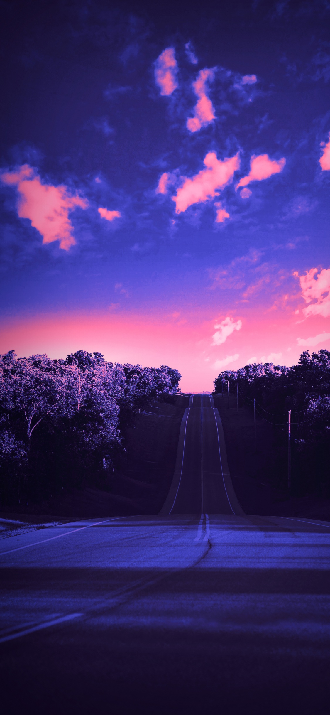 Обои облако, атмосфера, растение, пурпур, мир в разрешении 1125x2436