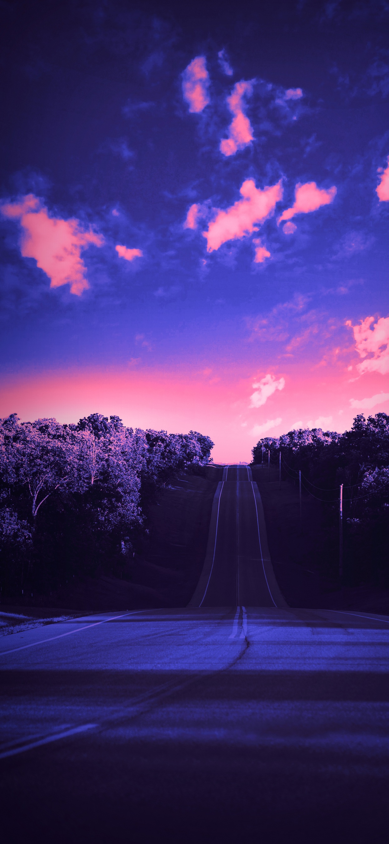 Обои облако, атмосфера, растение, пурпур, мир в разрешении 1242x2688