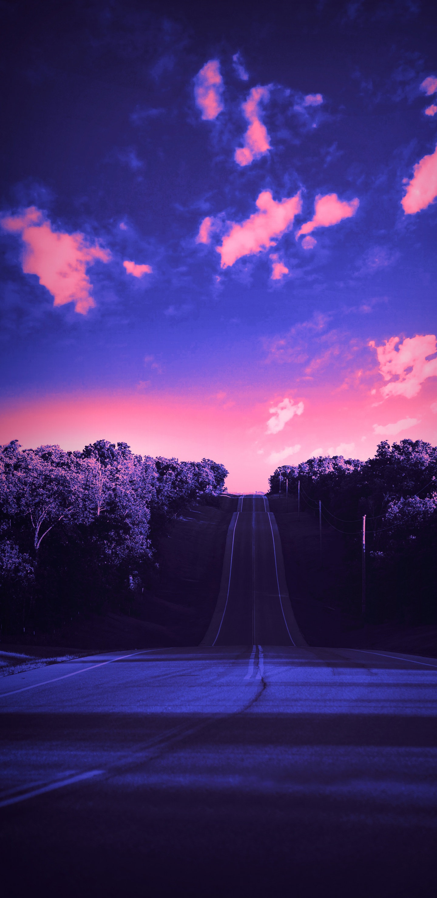 Обои облако, атмосфера, растение, пурпур, мир в разрешении 1440x2960