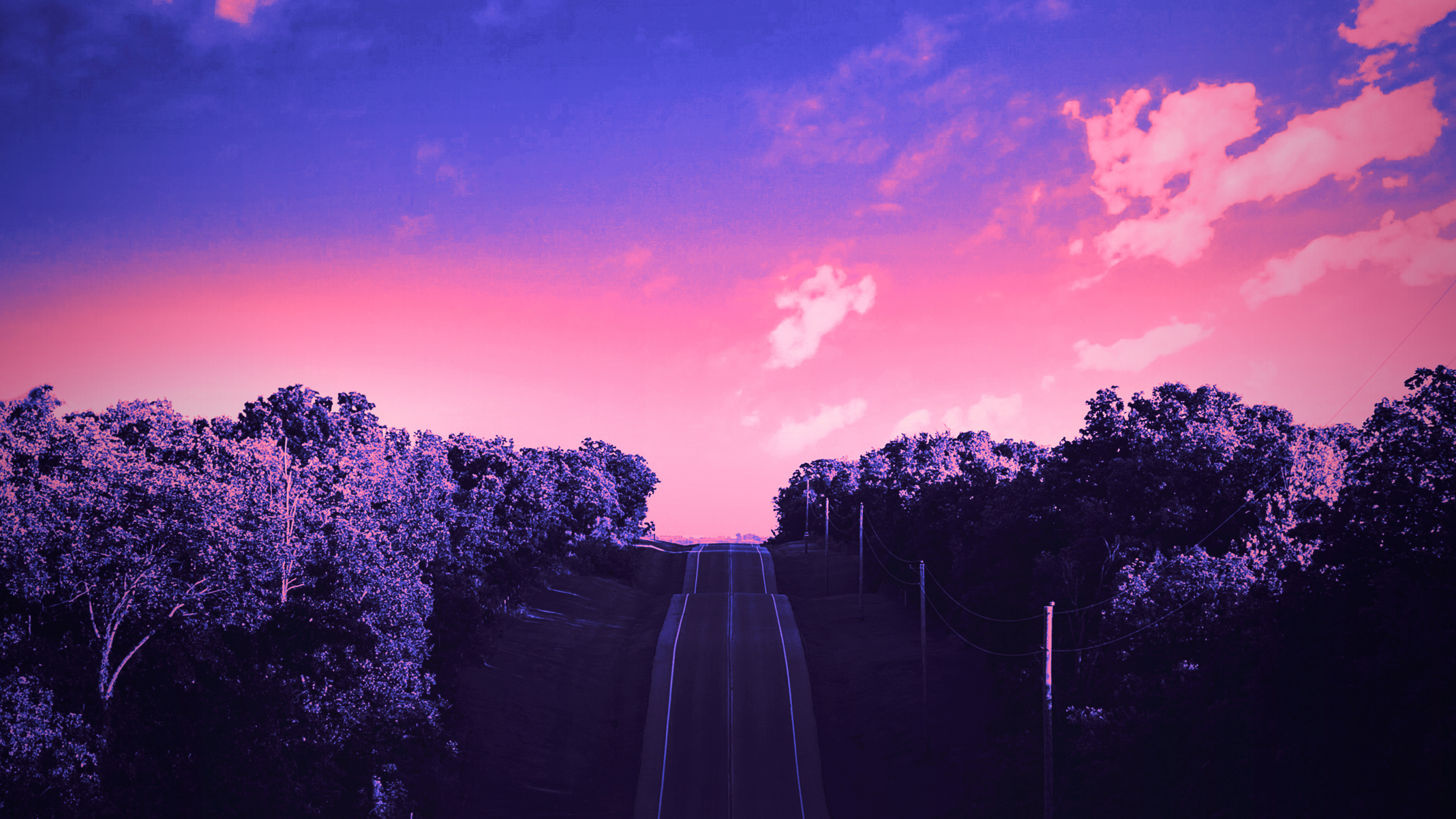 Обои облако, атмосфера, растение, пурпур, мир в разрешении 2560x1440