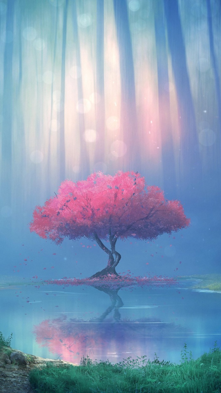 Обои природа, soundcloud, вода, атмосфера, растение в разрешении 720x1280