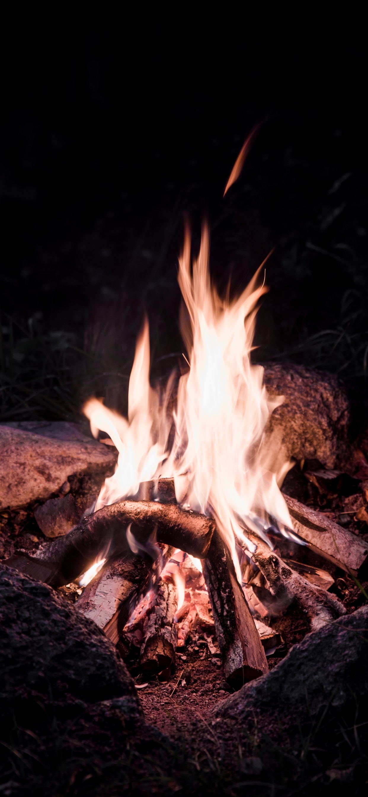 Обои огонь, костер, тепло, пламя, зола в разрешении 1242x2688