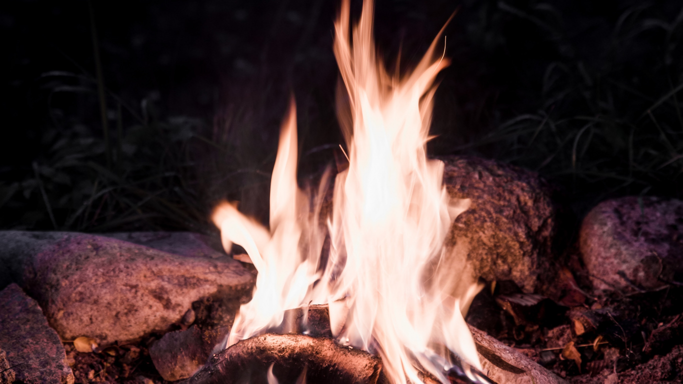 Обои огонь, костер, тепло, пламя, зола в разрешении 1366x768