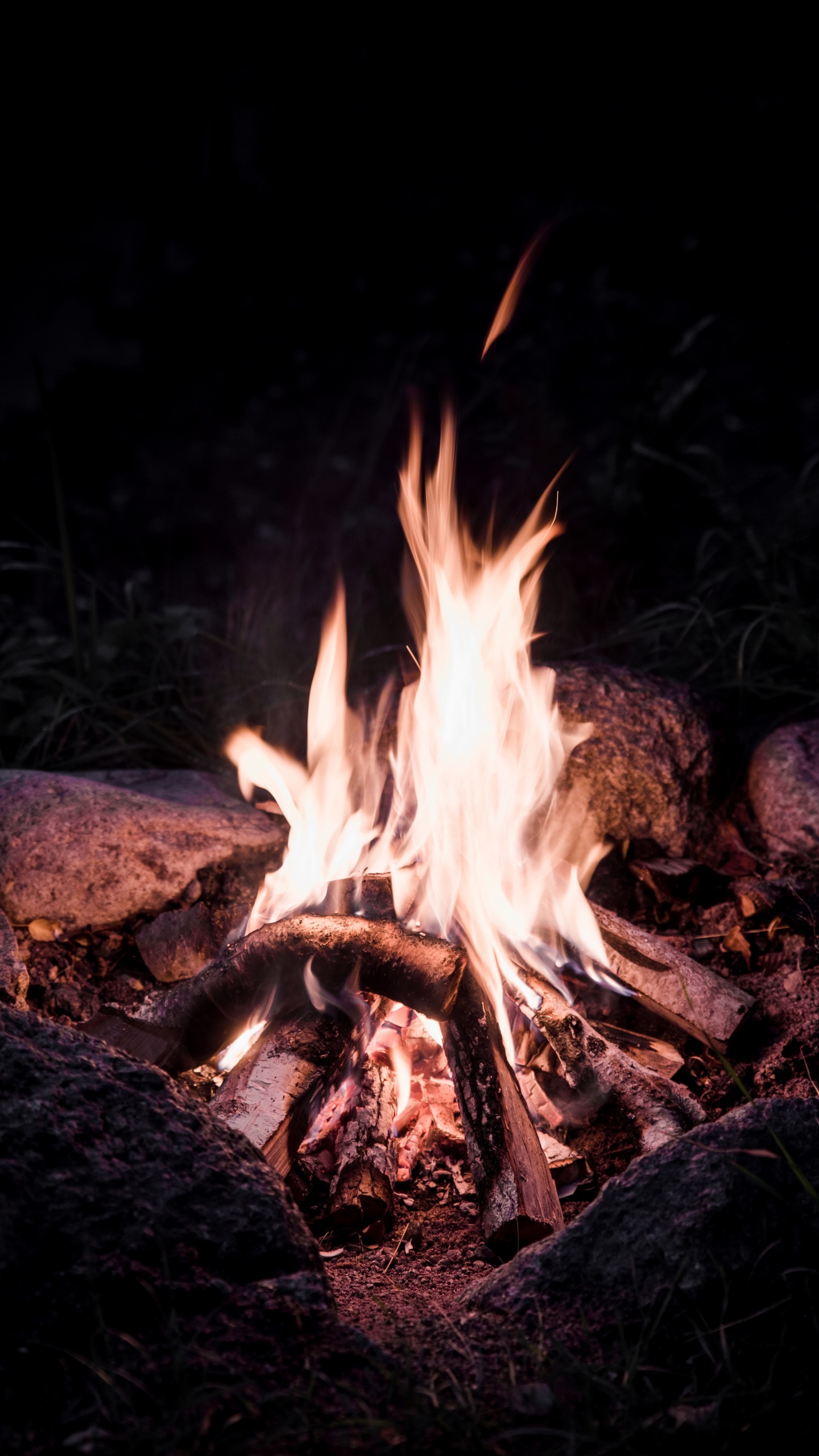 Обои огонь, костер, тепло, пламя, зола в разрешении 1440x2560