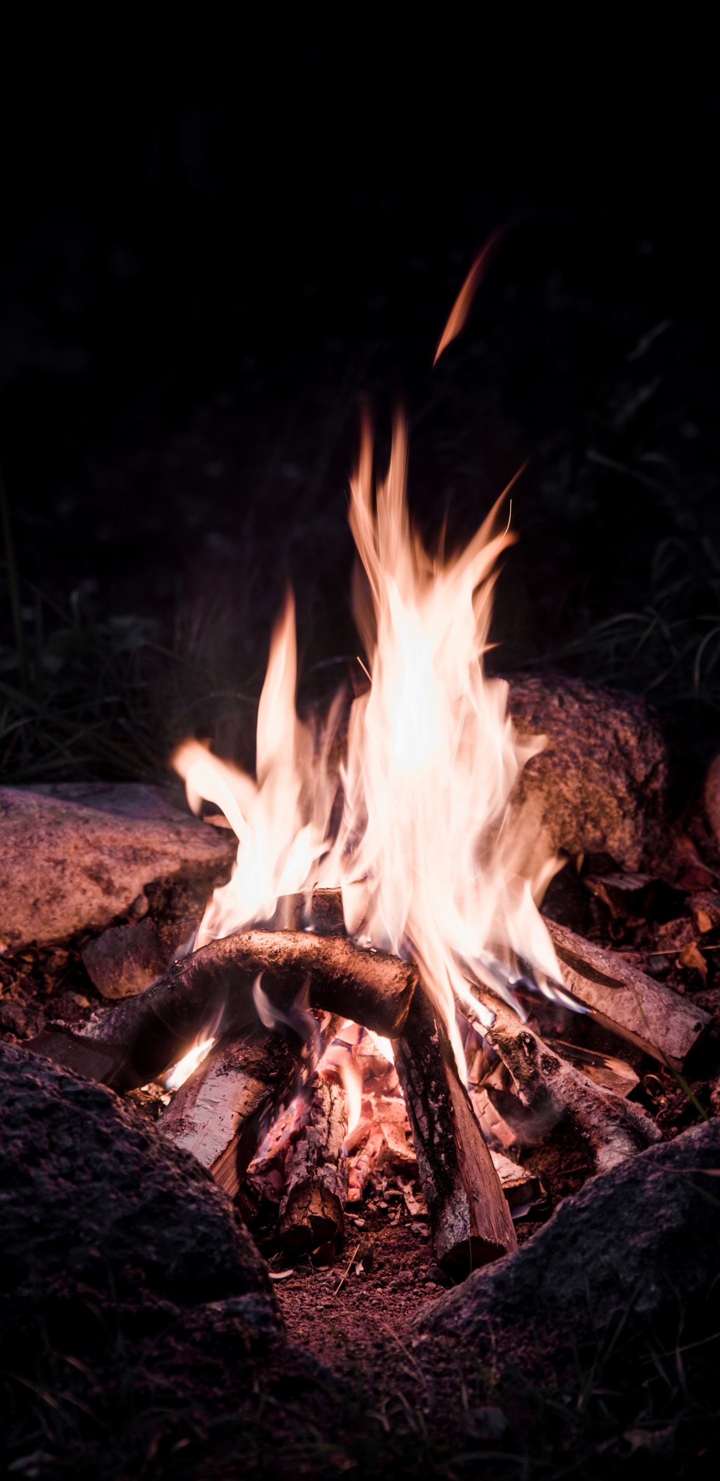 Обои огонь, костер, тепло, пламя, зола в разрешении 1440x2960