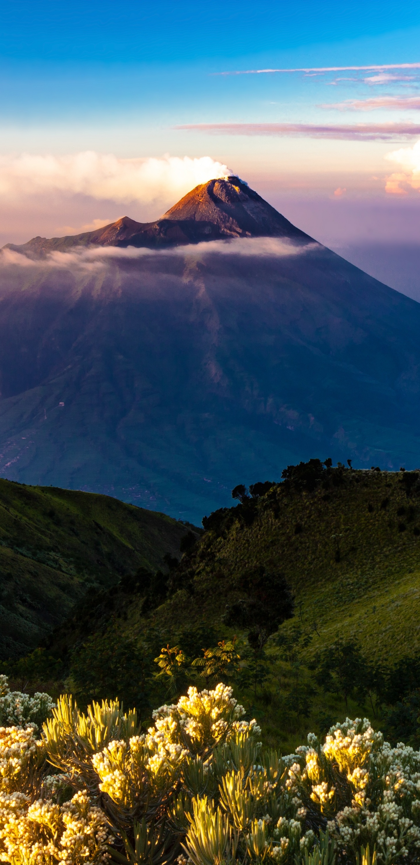 Обои горный рельеф, гора, природный ландшафт, природа, горный хребет в разрешении 1440x2960