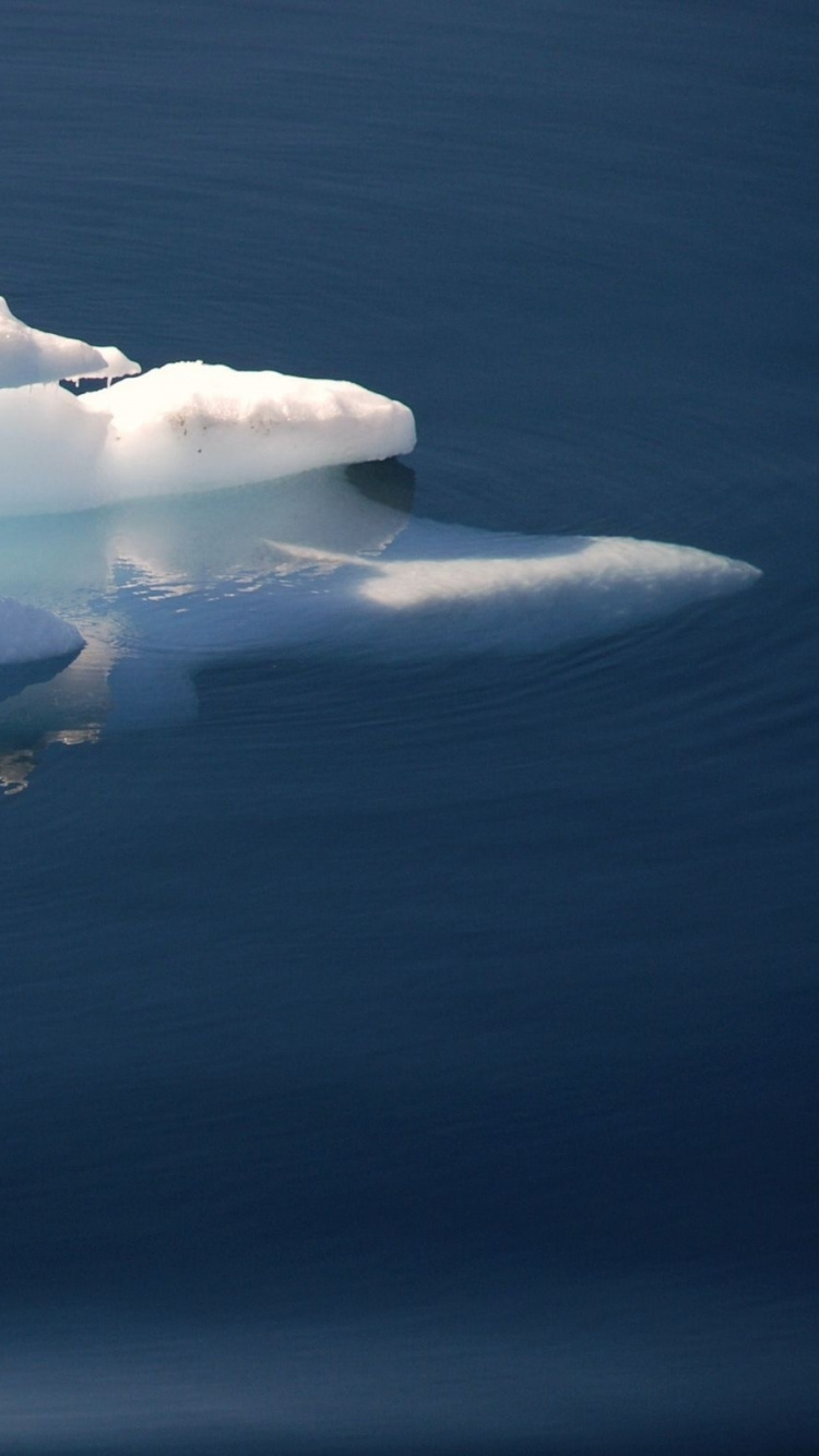Обои айсберг, облако, кучевое облако, лед, морской лед в разрешении 750x1334