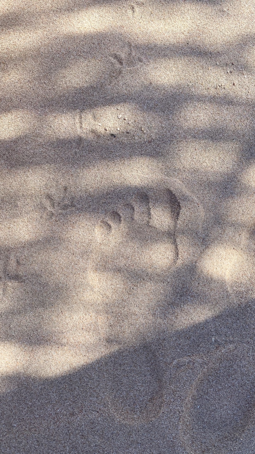 Обои дорожное покрытие, древесина, серый цвет, асфальт, полутона и оттенки в разрешении 1080x1920