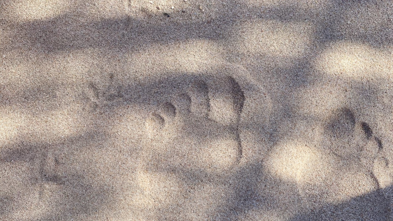 Обои дорожное покрытие, древесина, серый цвет, асфальт, полутона и оттенки в разрешении 1280x720