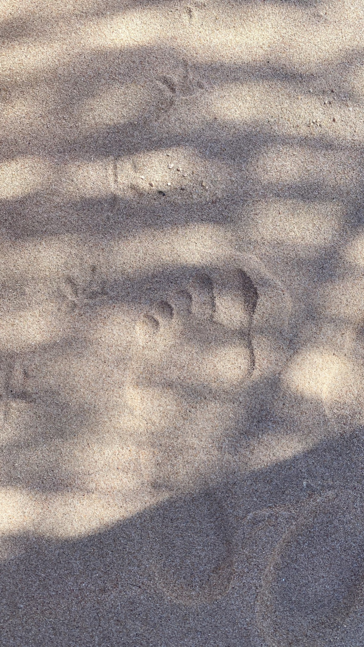 Обои дорожное покрытие, древесина, серый цвет, асфальт, полутона и оттенки в разрешении 750x1334