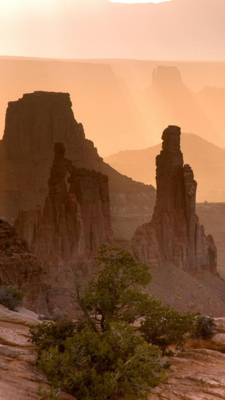 Обои бесплодные земли, горный рельеф, формирование, рок, озеленение в разрешении 750x1334