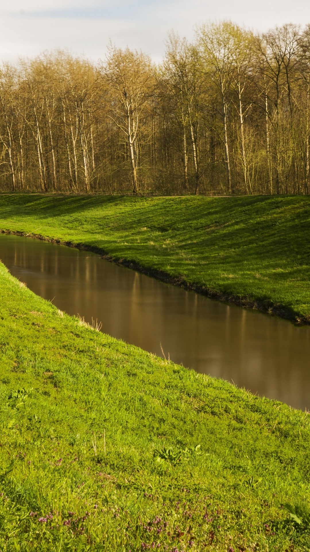 Обои вода, гидроресурсы, растение, облако, растительное сообщество в разрешении 1080x1920