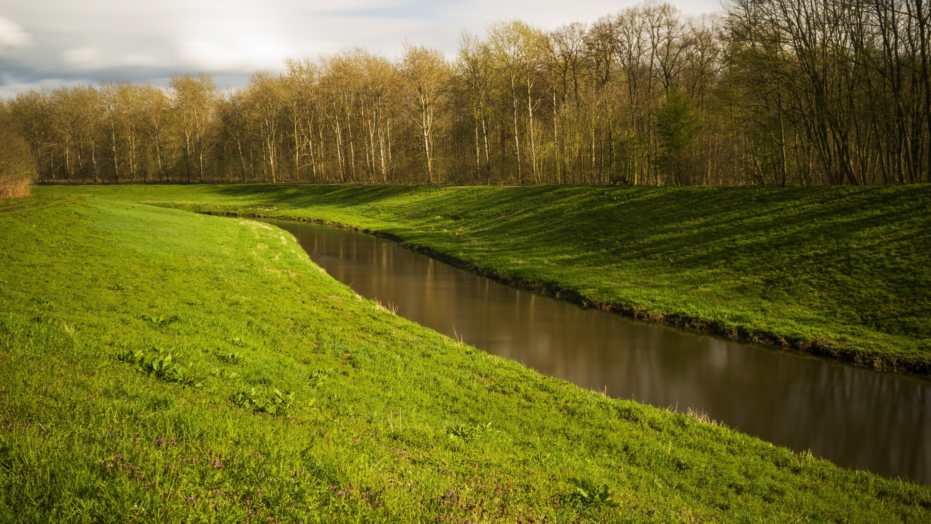 Обои вода, гидроресурсы, растение, облако, растительное сообщество в разрешении 1920x1080