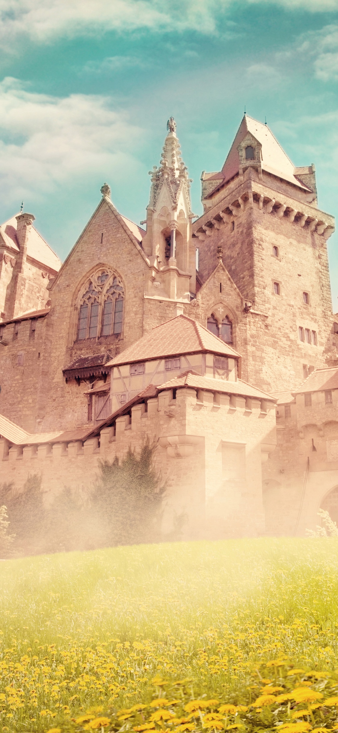 Обои ориентир, замок, средневековая архитектура, средневековье, историческое место в разрешении 1125x2436