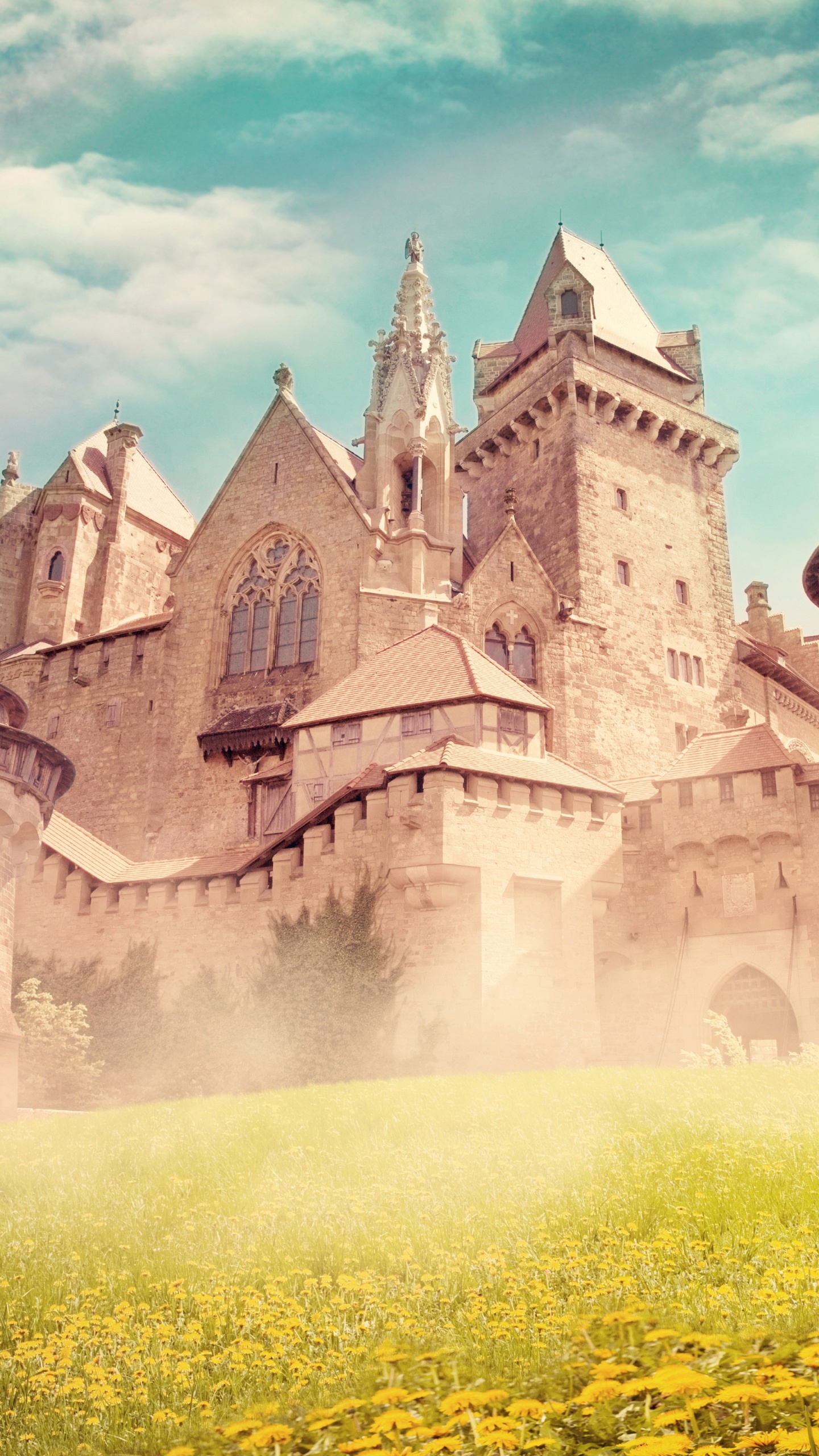 Обои ориентир, замок, средневековая архитектура, средневековье, историческое место в разрешении 1440x2560