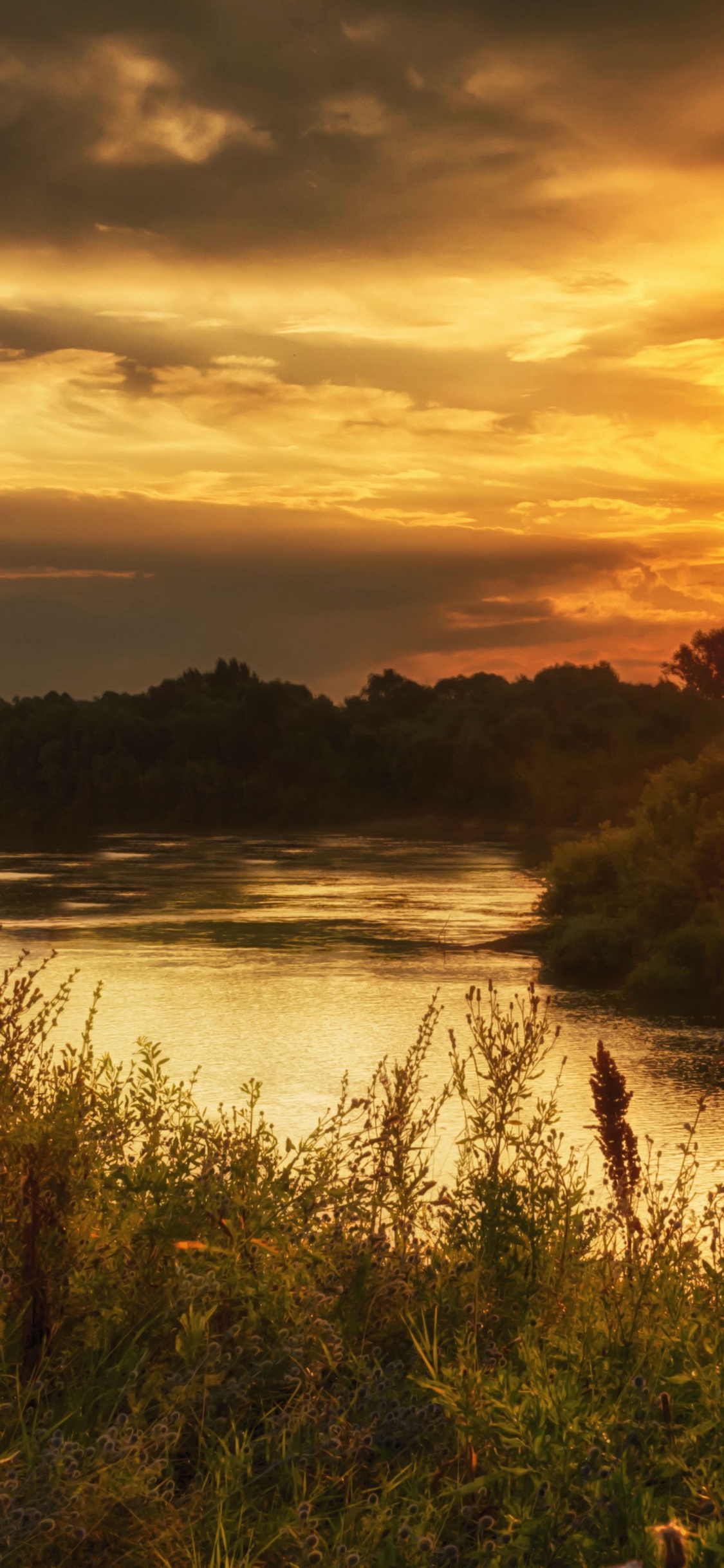 Обои восход солнца, природа, закат, утро, солнечный свет в разрешении 1125x2436