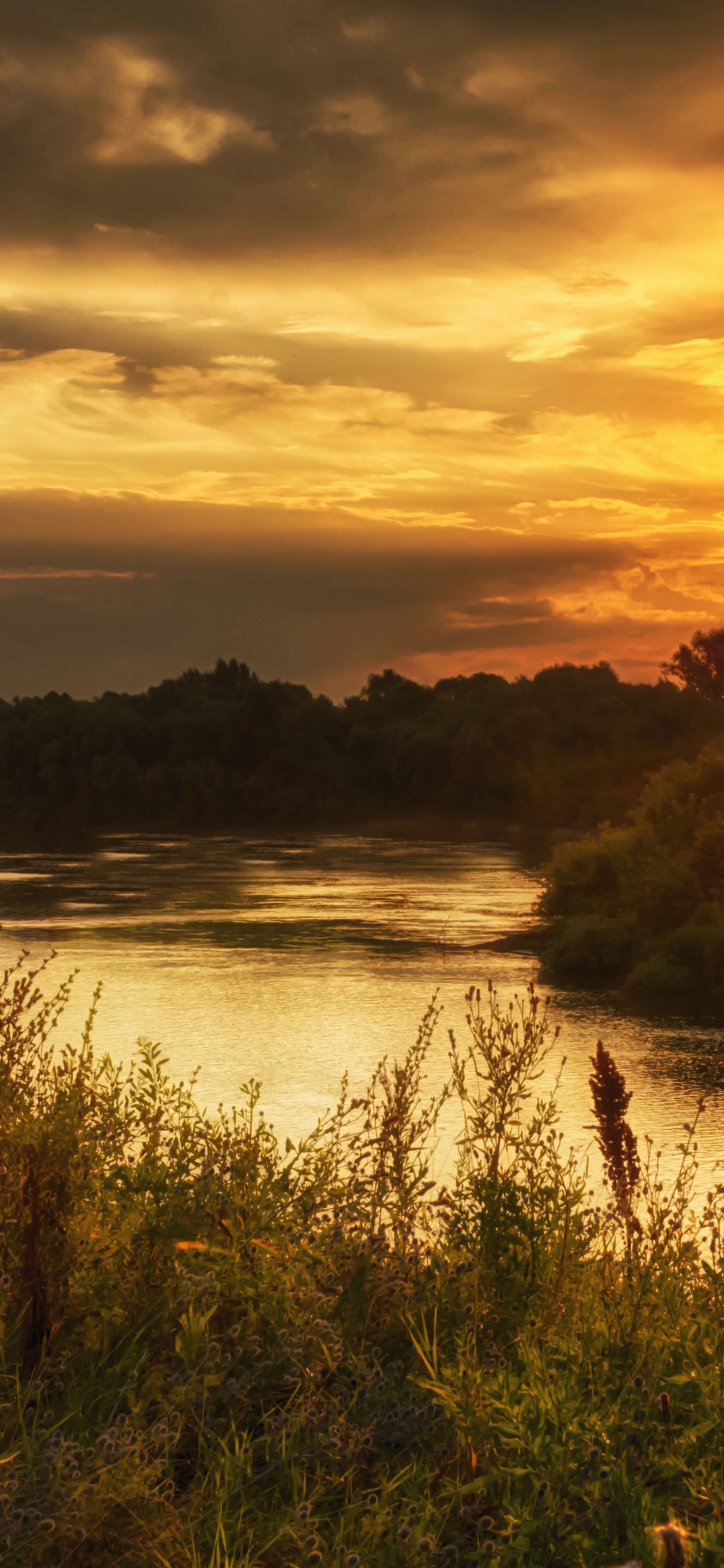 Обои восход солнца, природа, закат, утро, солнечный свет в разрешении 1242x2688