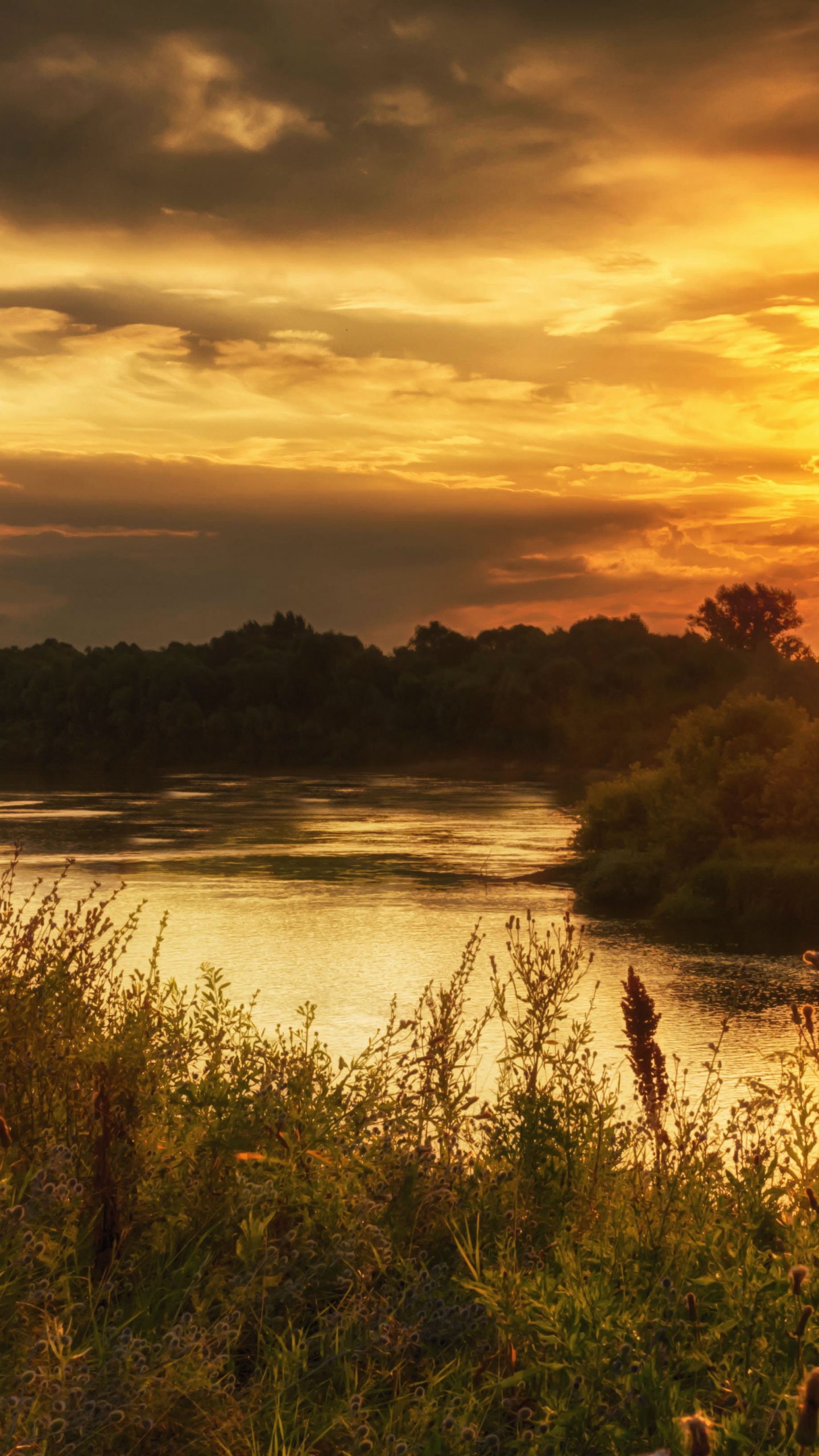 Обои восход солнца, природа, закат, утро, солнечный свет в разрешении 1440x2560