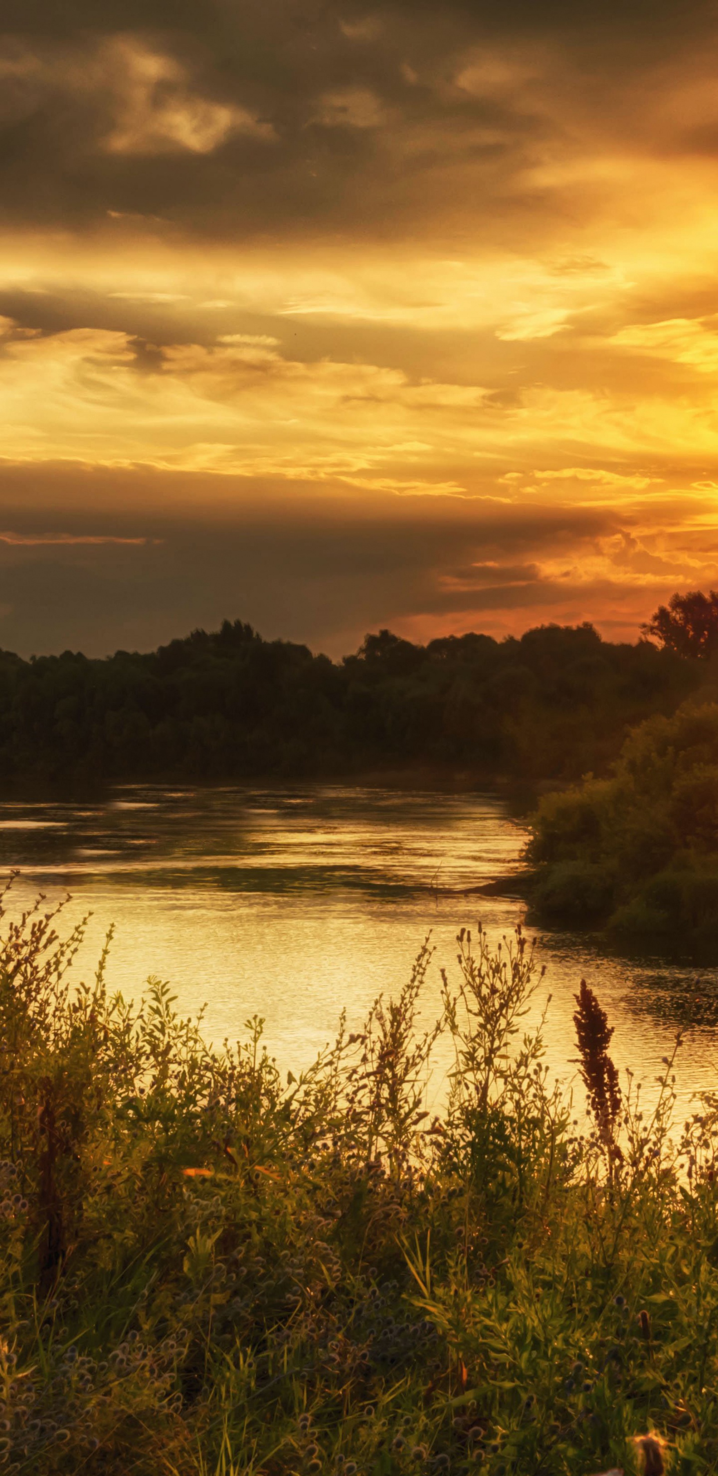 Обои восход солнца, природа, закат, утро, солнечный свет в разрешении 1440x2960