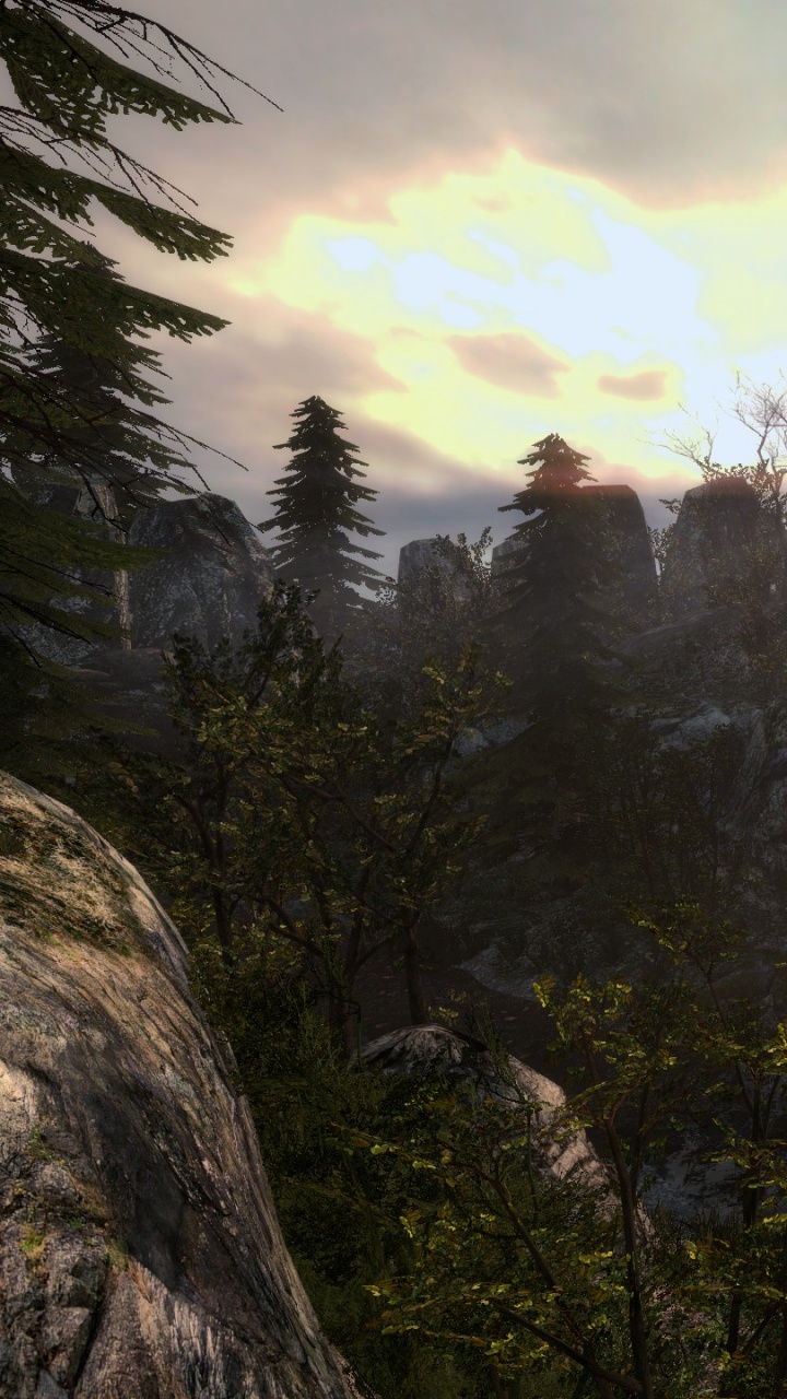 Обои дикая местность, пустыня, растительность, биом, лес в разрешении 720x1280