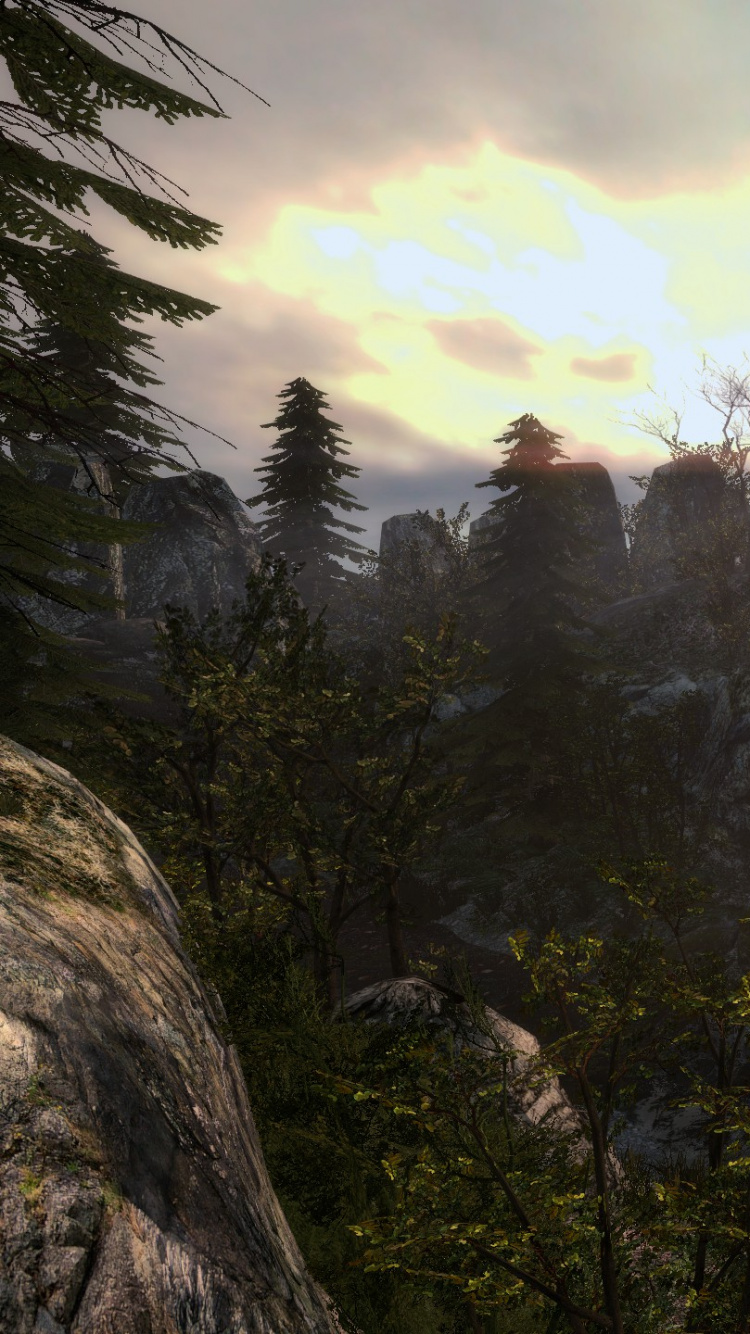 Обои дикая местность, пустыня, растительность, биом, лес в разрешении 750x1334