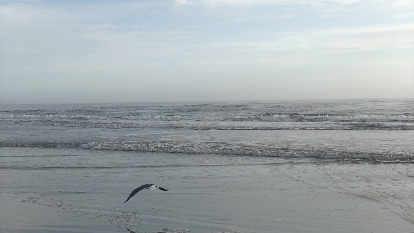 Обои мадфлэт, вода, прилив, водоем, жидкость в разрешении 1366x768