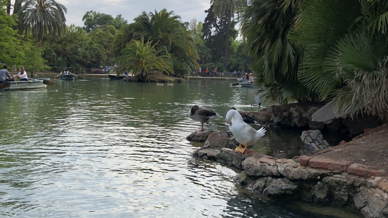 Обои реки, водный путь, гидроресурсы, вода, водоток в разрешении 1280x720