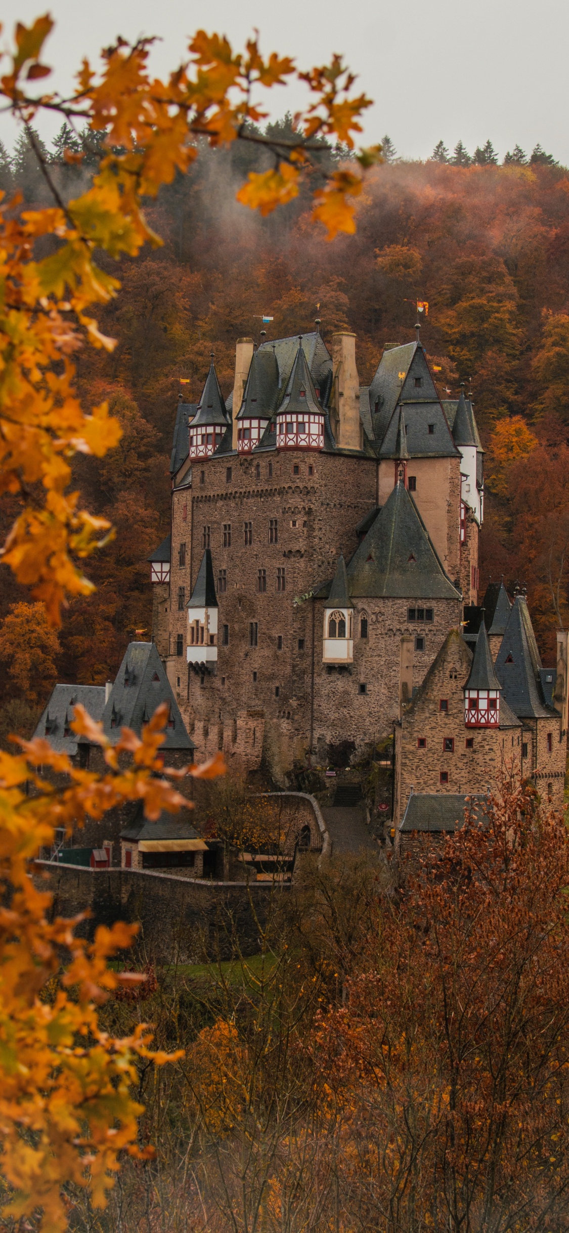 Обои Эльц, Замок Эльц, замок, лист, дерево в разрешении 1125x2436